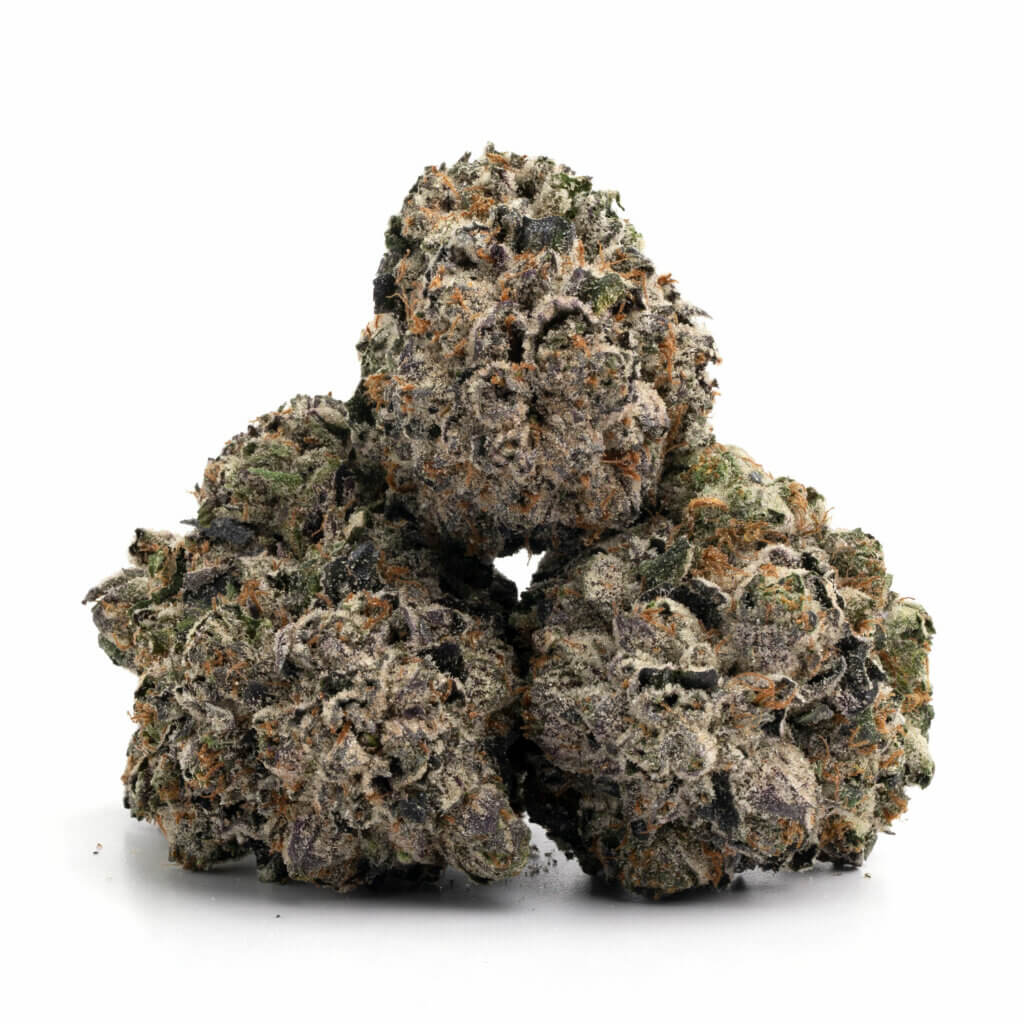 Gastro Pop OG THCa Flower - Premium Cannabis Buds for Wholesale