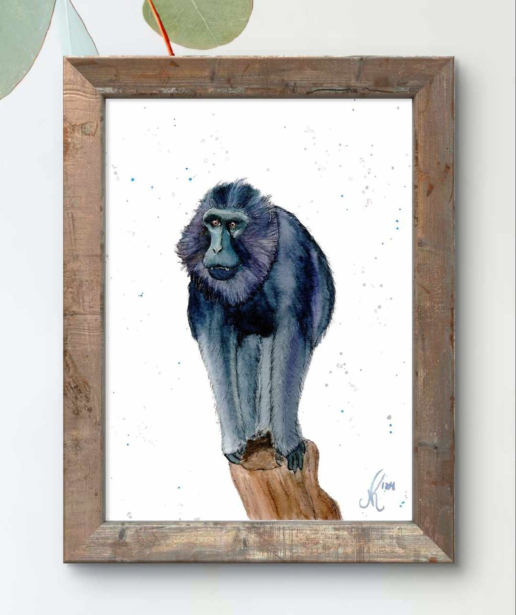 painting of a booted macaque