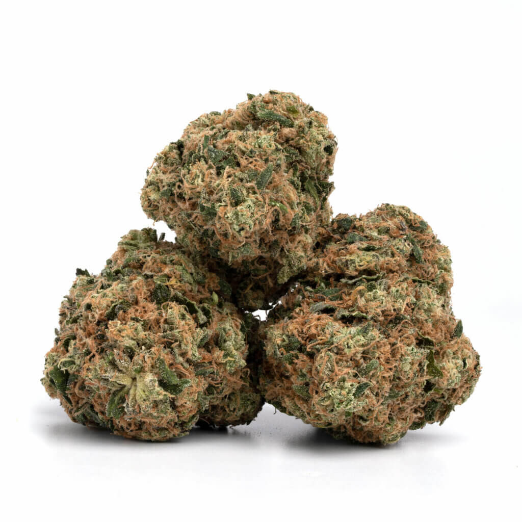 Moby Dick THCa Flower for Wholesale – Premium Bulk Cannabis Strain