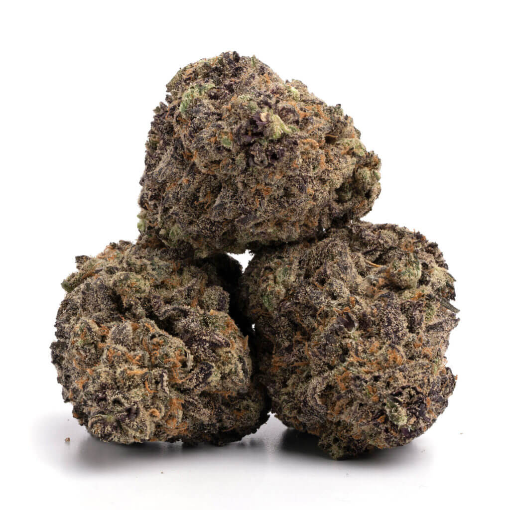 Purple Punch THCa Flower Bulk Supply - Premium Cannabis