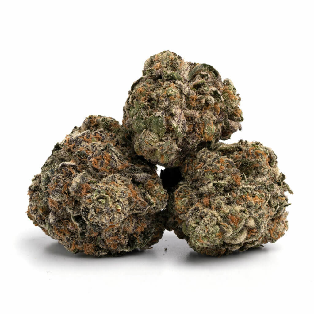 Jet Fuel Gelato THCa Flower - Premium Wholesale Cannabis for Bulk Purchase