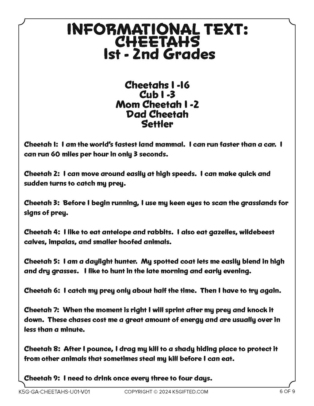 Cheetahs, Grades K – 1st thumbnail