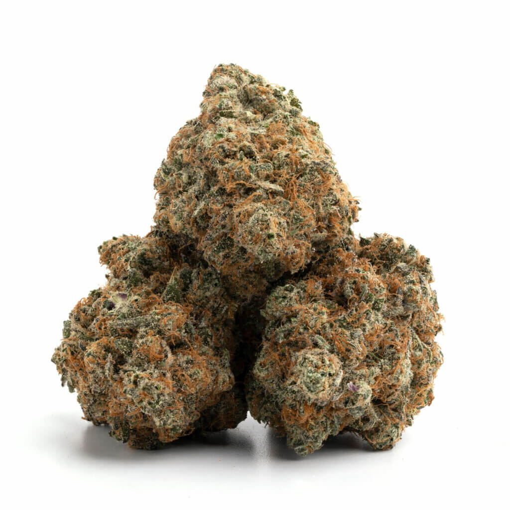 El Chapo THCa Flower Bulk Purchase – Premium Cannabis Strain for Wholesale