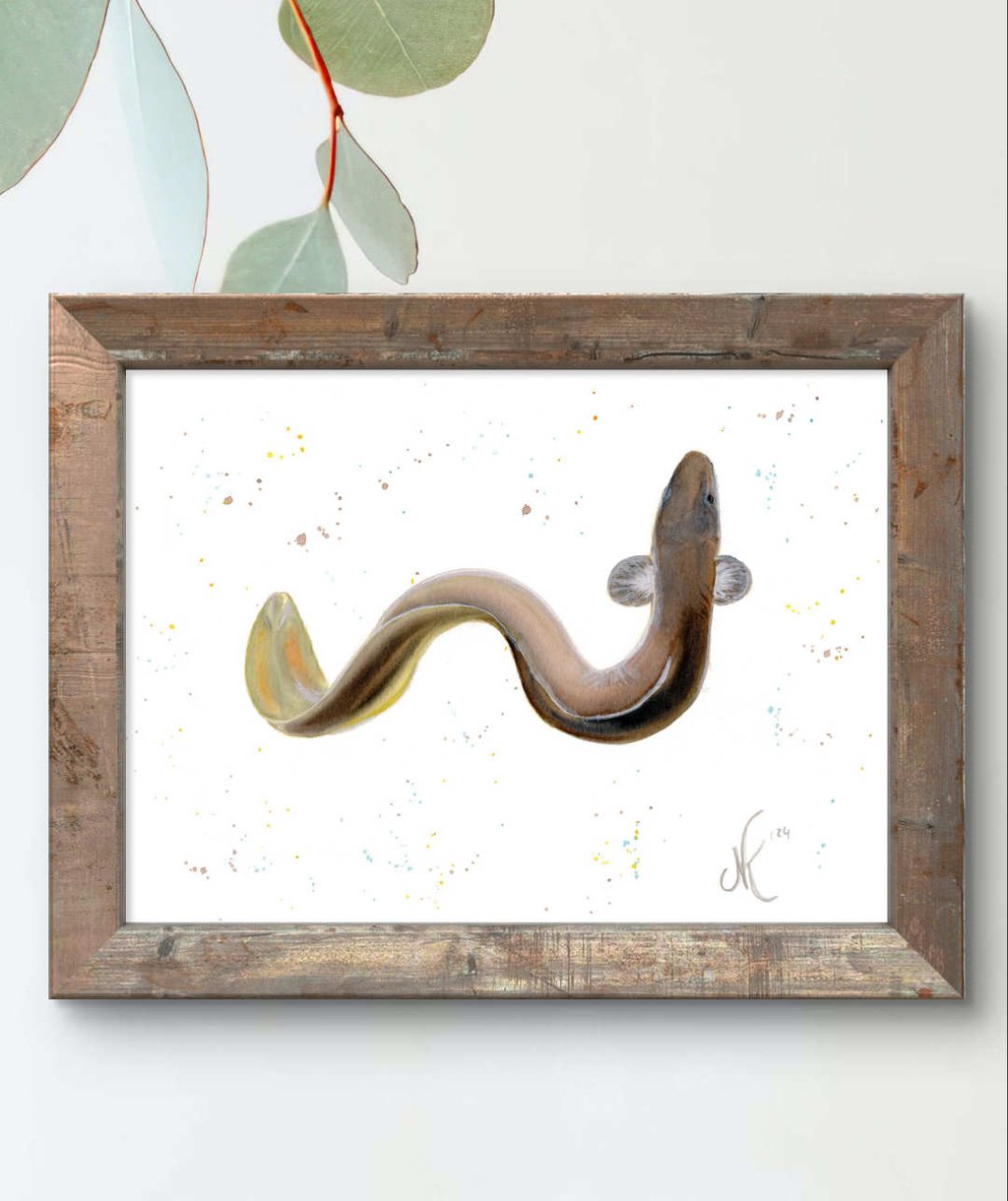 Painting of a European Eel