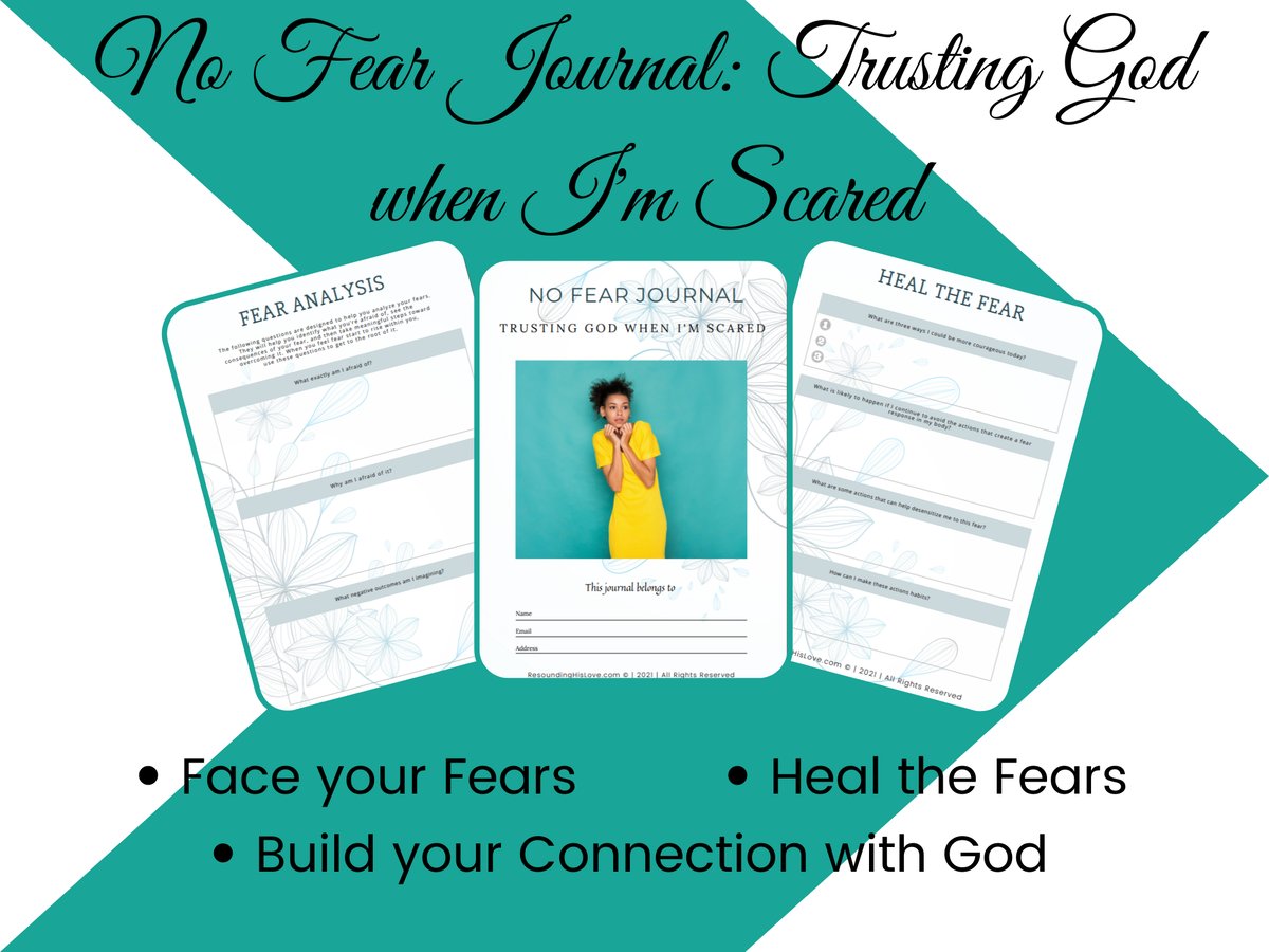 No Fear Journal