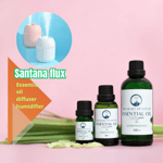 Essential oil diffuser humidifier