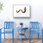 Painting of a European Eel