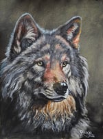 Acrylic Painting of Wolf by David Gage