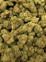 Packaging of Mule Fuel THCa Flower with visible THC content details