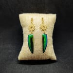 Paire de boucles d'oreilles pendantes fabriquées à partir d'élytres de coléoptères sternocera ruficornis. Les élytres brillants sont reliés par des connecteurs en acier inoxydable, avec des clous d'oreilles hypoallergéniques pour plus de confort. Ces boucles d'oreilles allient esthétique et respect de l'environnement, et sont disponibles en plusieurs modèles uniques.