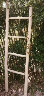 échelle sculptée à la main en bois d'eucalyptus