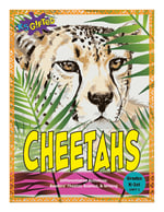 Cheetahs, Grades K – 1st thumbnail
