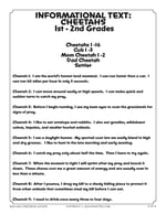 Cheetahs, Grades K – 1st thumbnail