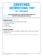 Cheetahs, Grades K – 1st thumbnail