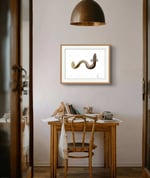 Painting of a European Eel