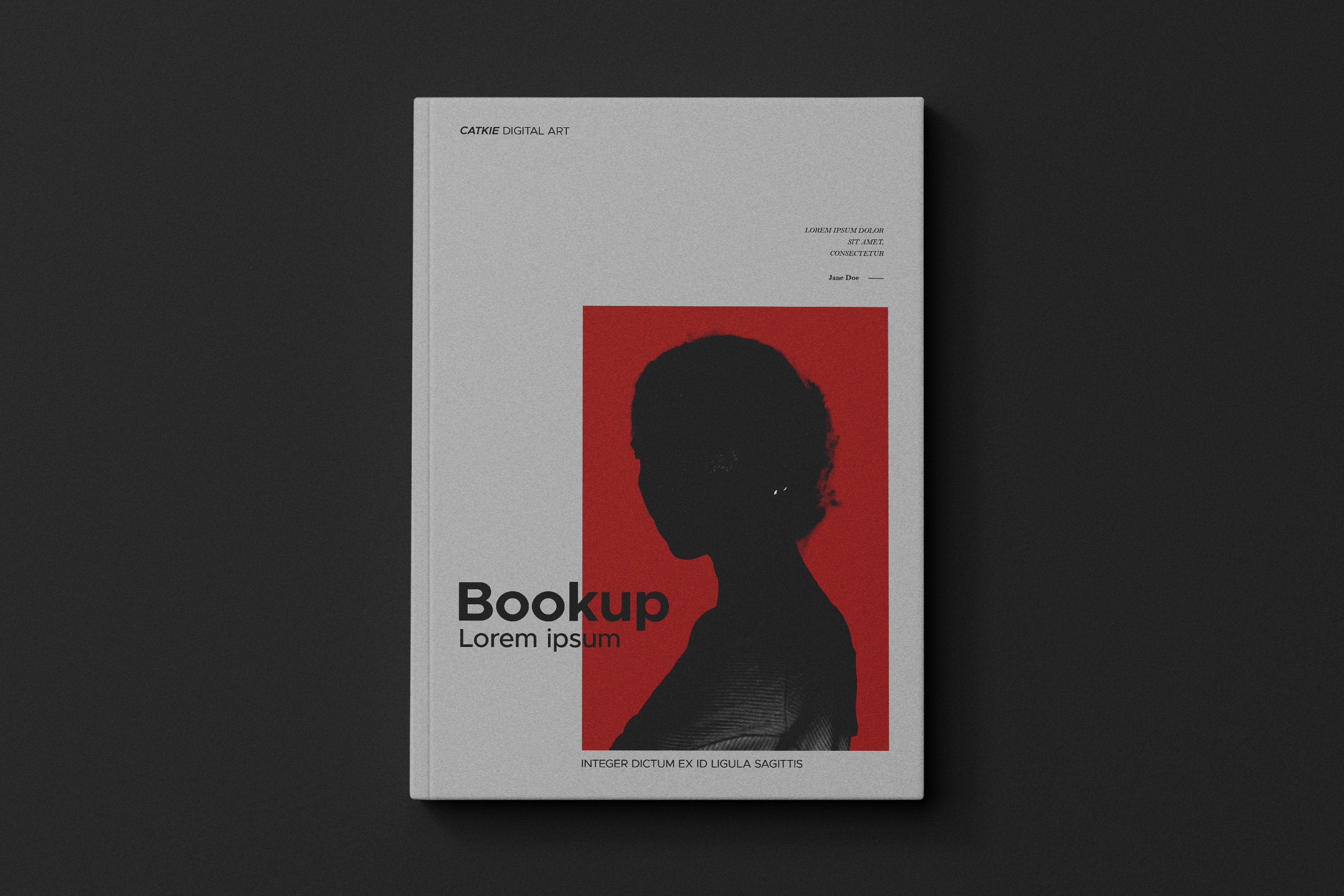 mockup