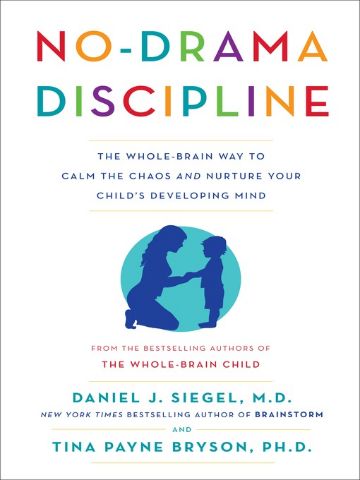 No Drama Discipline