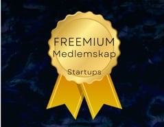 Startups Freemium
