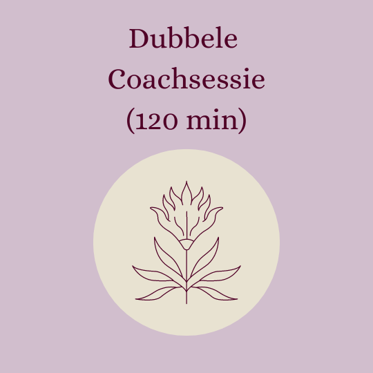 Dubbele Coachsessie (120 min)