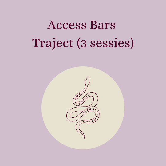 Access Bars Traject (3 sessies)