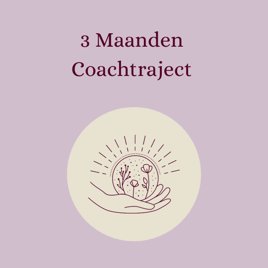 3 Maanden Coachtraject
