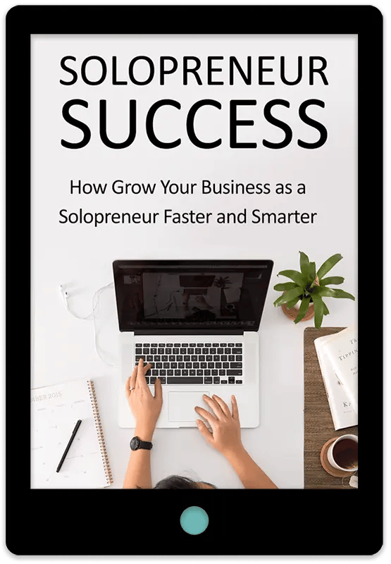 Solopreneur Success E-Book Cover