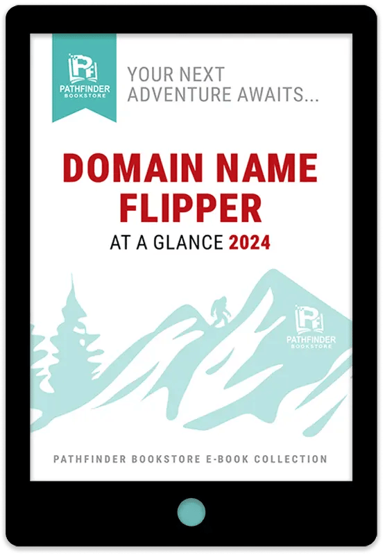 Domain Name Flipper At A Glance 2024 E-Book Cover Image