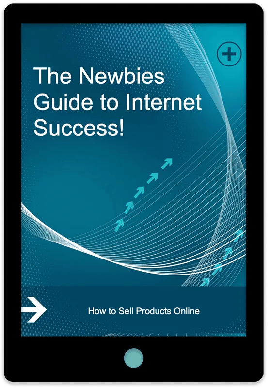 The Newbies Guide To Internet Success E-Book Cover