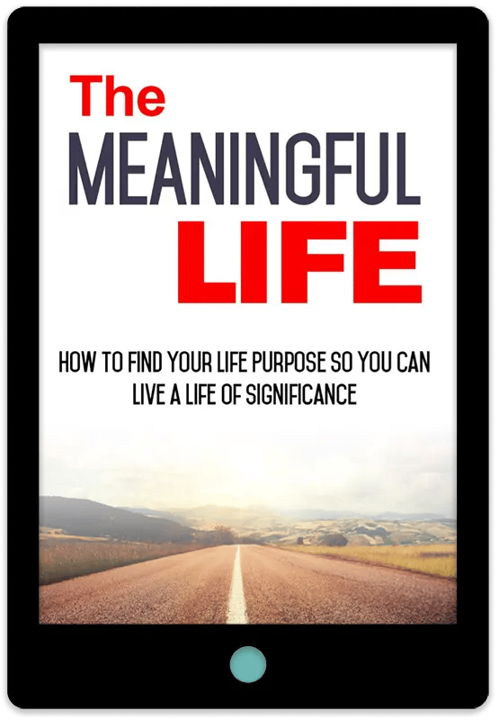 The Meaningful Life E-Book Cover