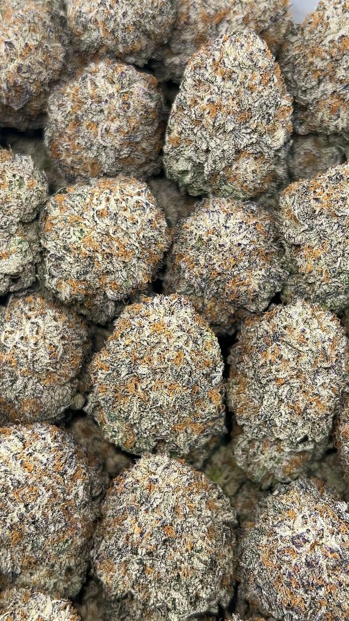 White Birkinz THCa Flower premium wholesale buds