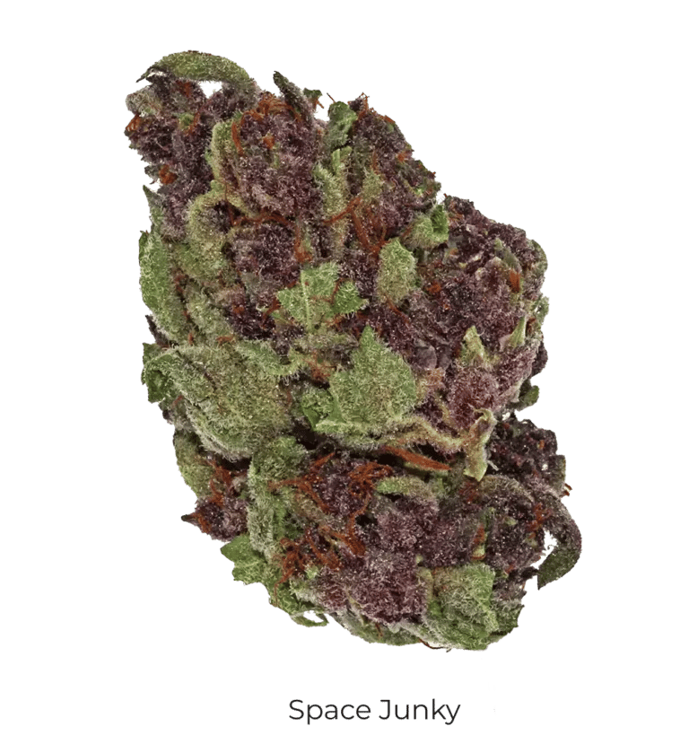 Space Junky THCa Flower Wholesale