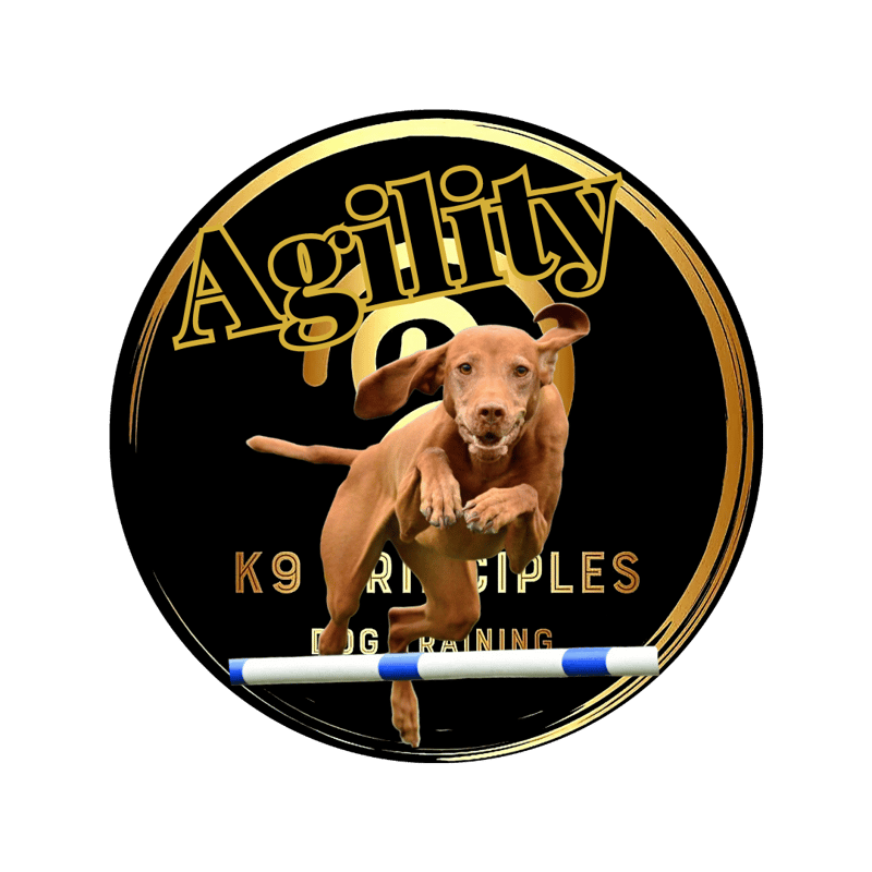 Beginner Agility - Wednesday, March 20 @ 7 pm