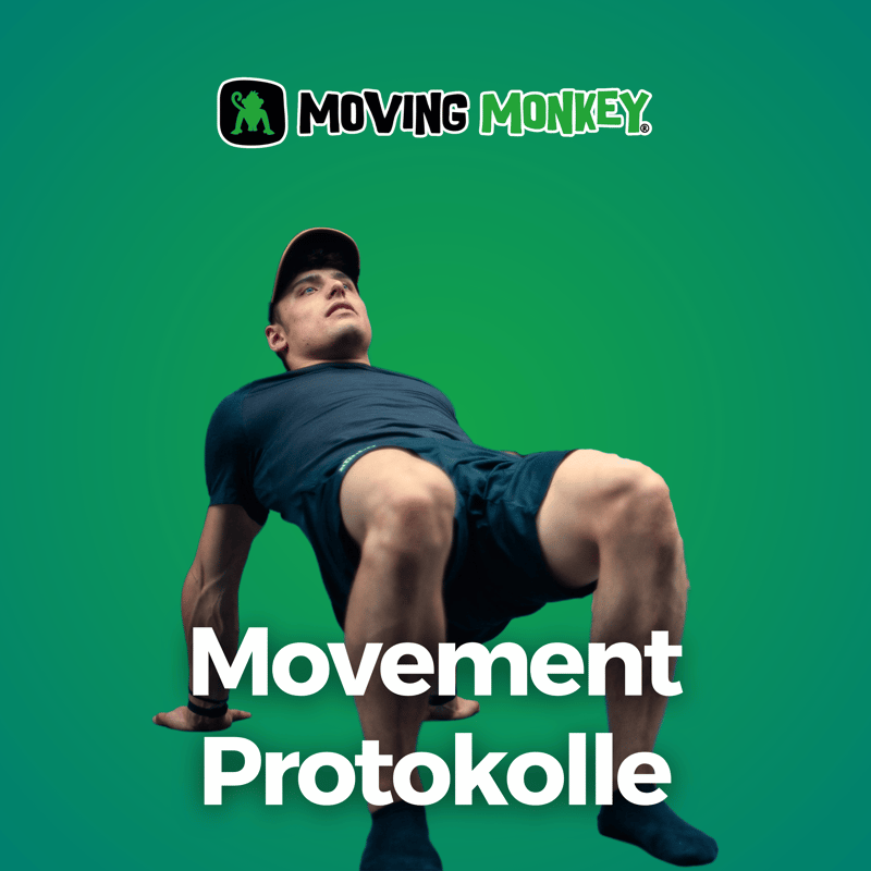 MM® Movement Protokolle