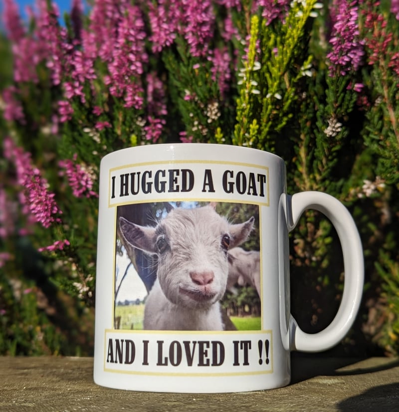 I hugged a goat and I loved it!! mug