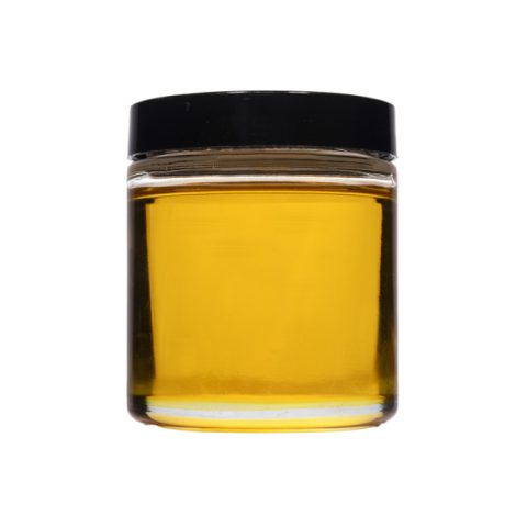 CBNp Distillate in a glass vial – high-quality THC extract for wholesale