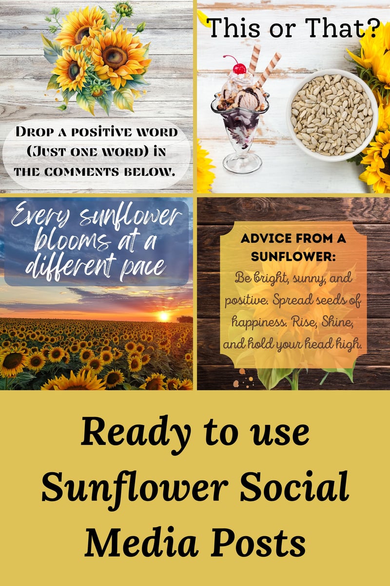 Sunflower Serenade Social Media  Engagement Graphics
