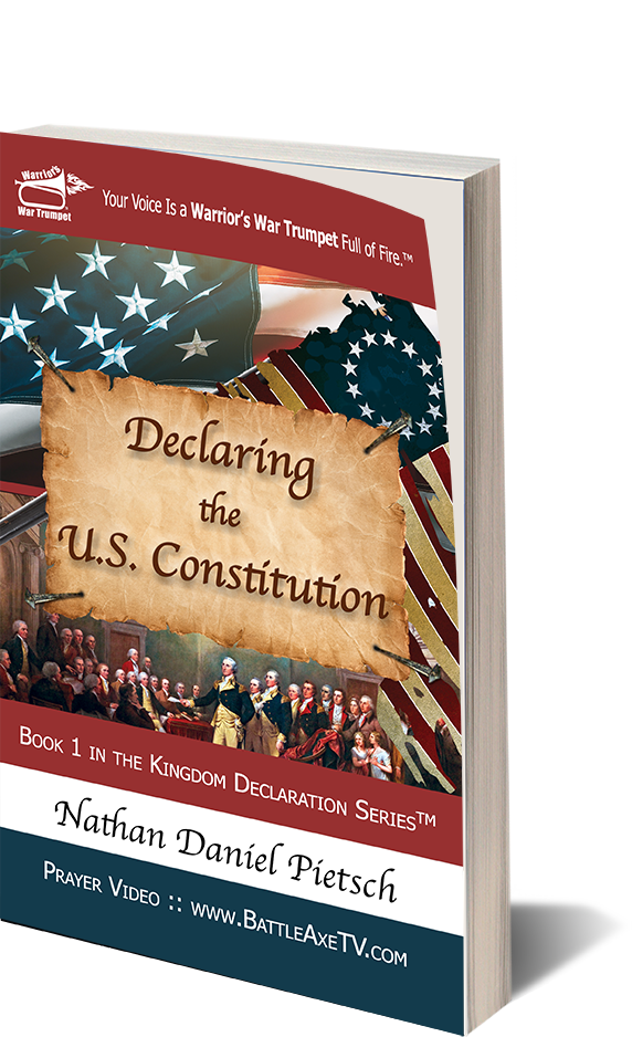 Book 1 :: Declaring the U.S. Constitution :: Soft Cover