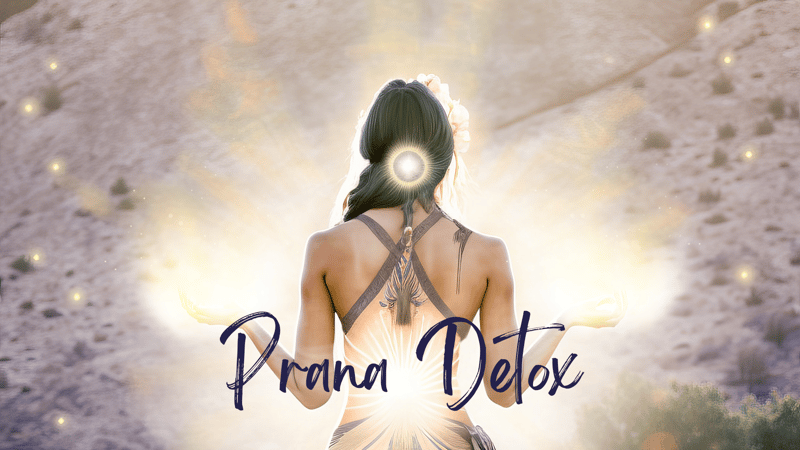 Prana Detox: Basic