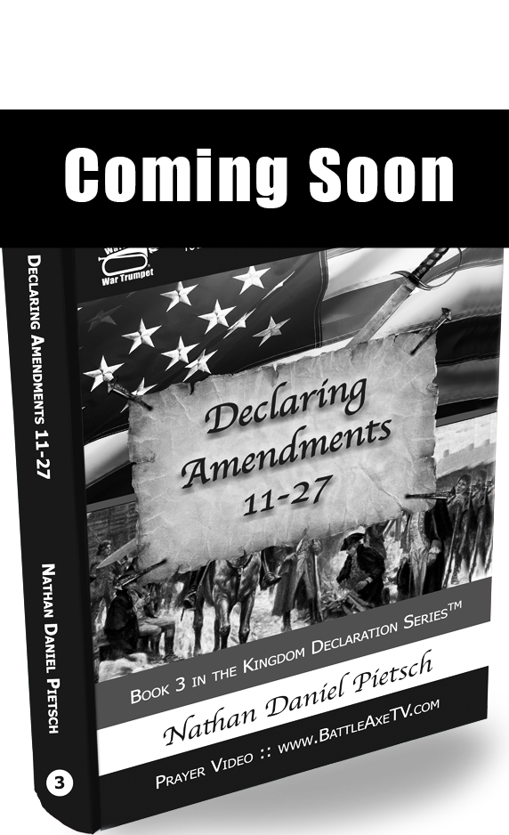 Book 3 :: Hard Cover :: Declaring Amendments 11-27