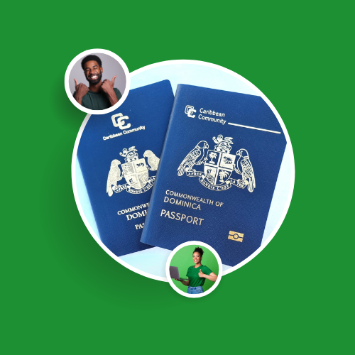 Passport Renewal - Basic Plan