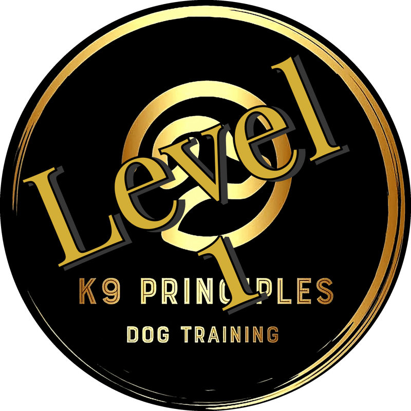 Level 1 - Wed, March 6, 2024 @ 6 pm