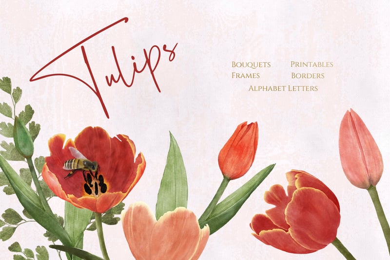 Tulips Design Set