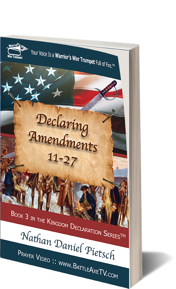 Book 3 :: Soft Cover :: Declaring Amendments 11-27