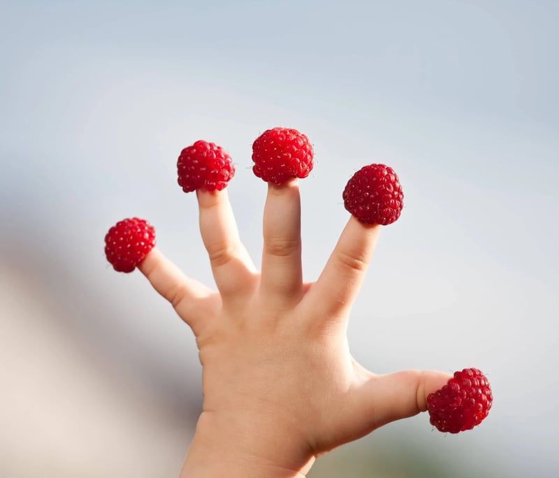 Diversification alimentaire et Diversification menée par l’enfant