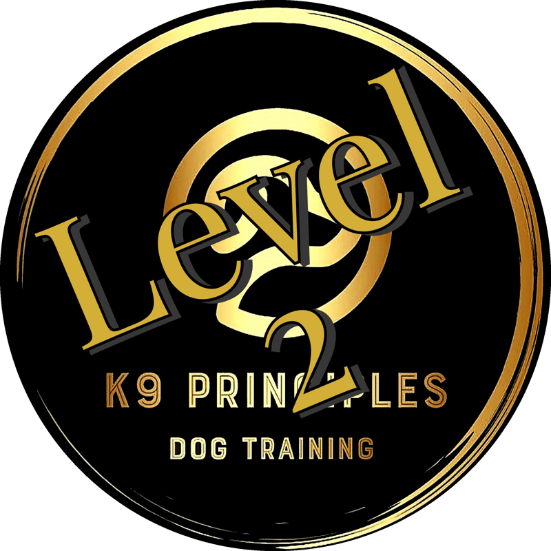 Level 2 - Tues, March 5 @ 7 pm