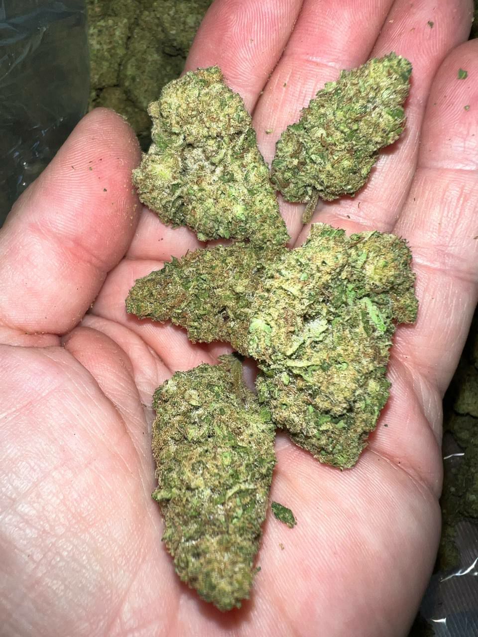 Lemon Lava THCa Flower with bright, resinous buds