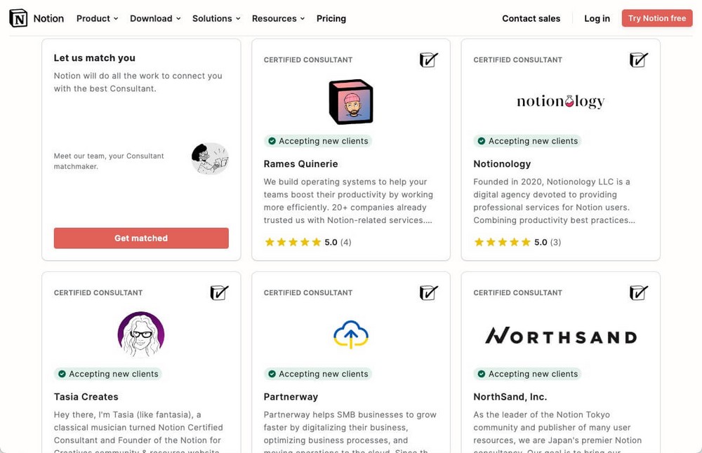 13 Profitable and realistic online business ideas to make money from home Notion Consultant Example