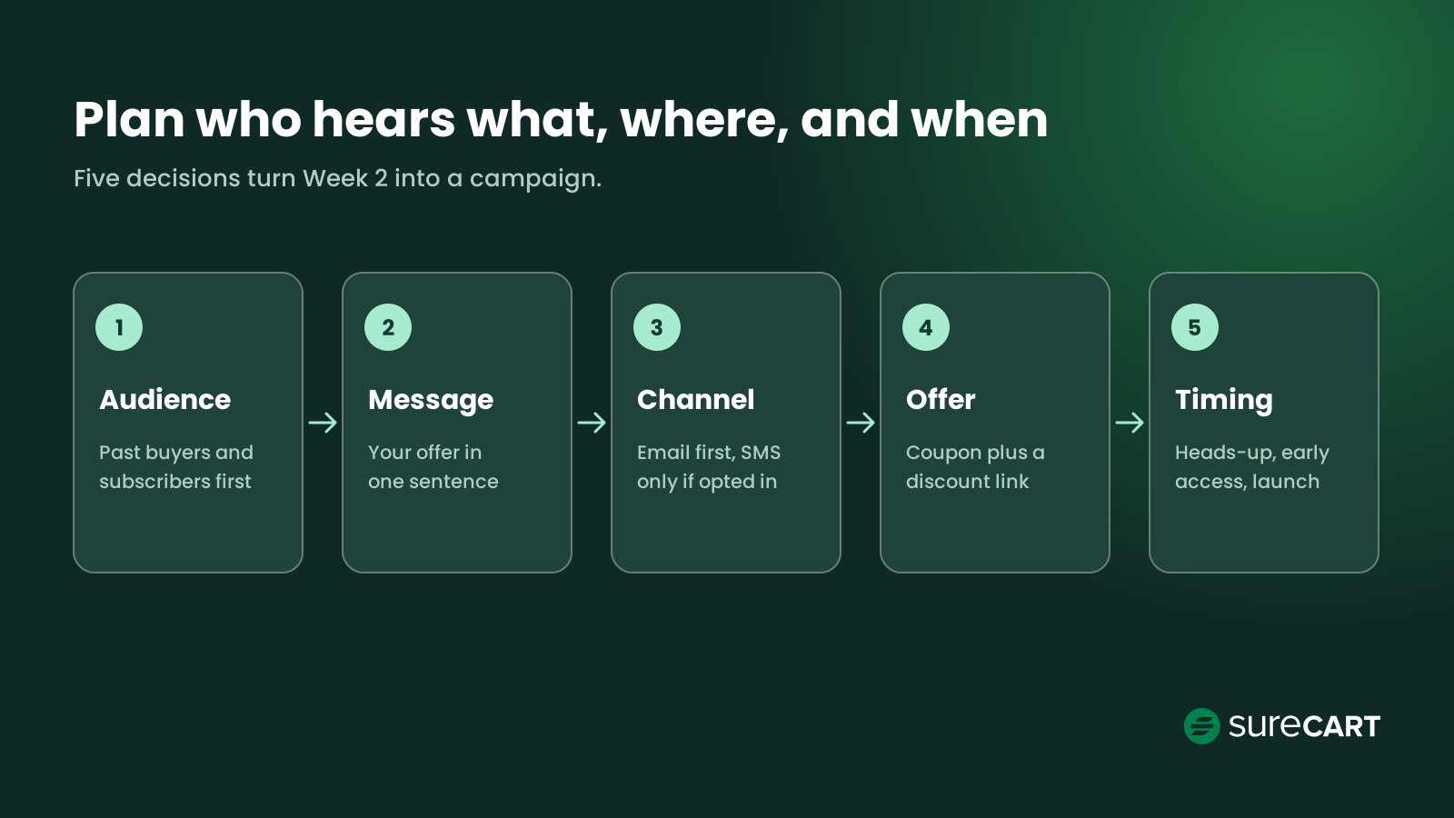Black Friday Marketing Strategy: A Step-by-Step Ecommerce Plan Five-step Black Friday audience plan: audience, message, channel, offer, timing
