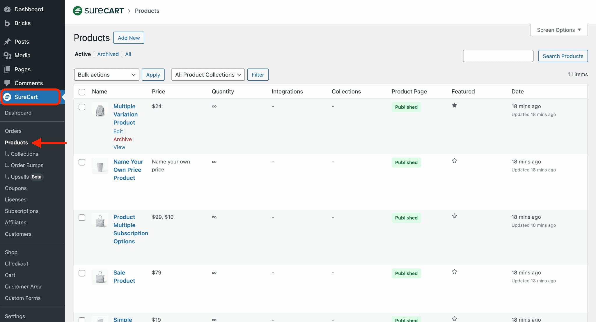 Troubleshooting Bricks Builder Templates SureCart Products