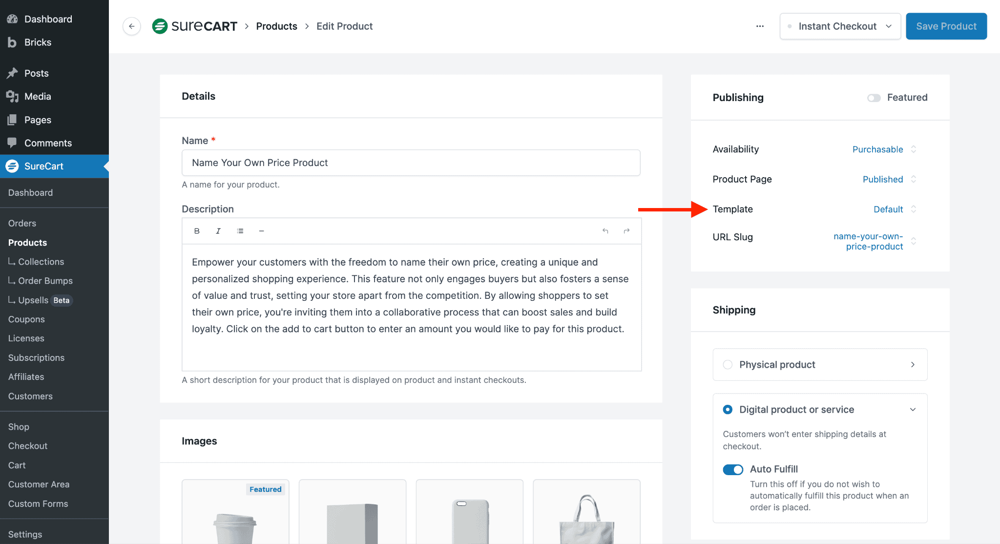 Troubleshooting Bricks Builder Templates Theme Layout
